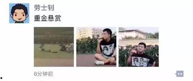 娱乐吃瓜资料来源,明星幕后故事大曝光