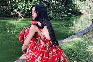 新浪微博性感网红,揭秘网络红人的魅力与争议”