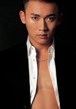 姓n的男明星,星光熠熠，魅力无限